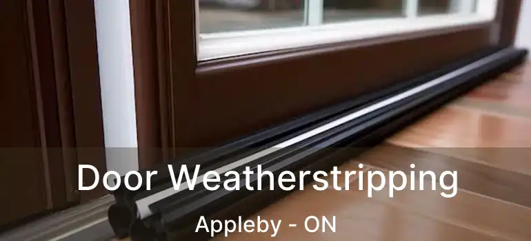  Door Weatherstripping Appleby - ON