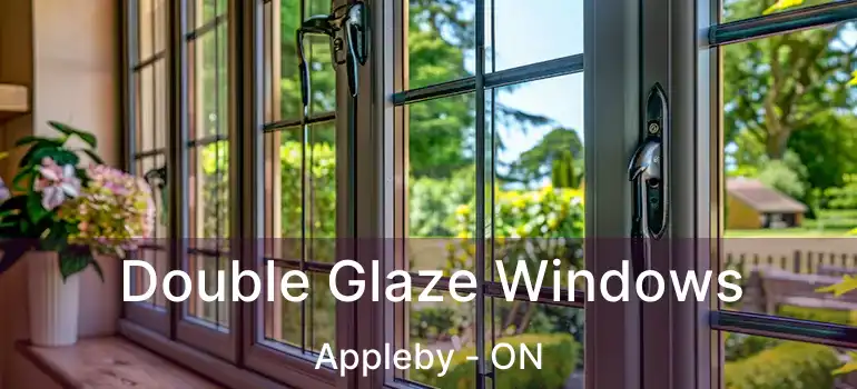  Double Glaze Windows Appleby - ON