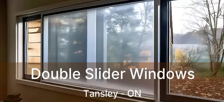  Double Slider Windows Tansley - ON