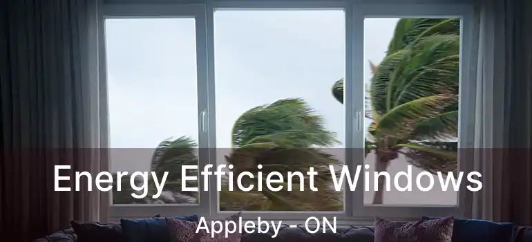 Energy Efficient Windows Appleby - ON