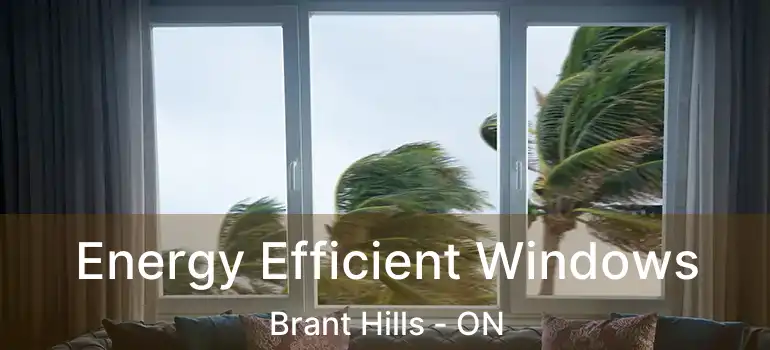  Energy Efficient Windows Brant Hills - ON