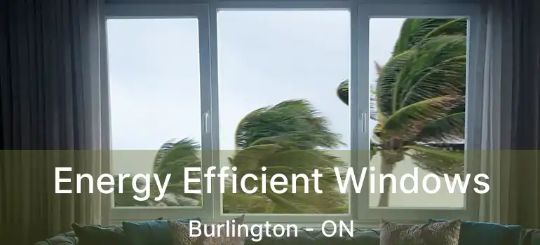  Energy Efficient Windows Burlington - ON