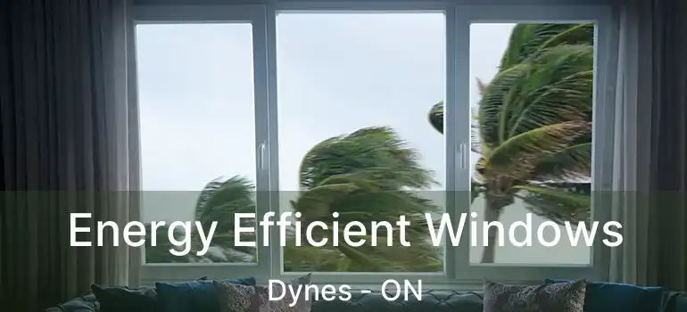  Energy Efficient Windows Dynes - ON