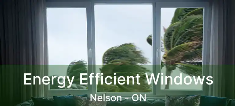  Energy Efficient Windows Nelson - ON