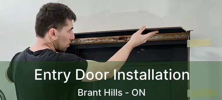  Entry Door Installation Brant Hills - ON