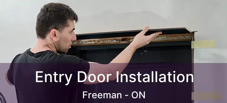  Entry Door Installation Freeman - ON