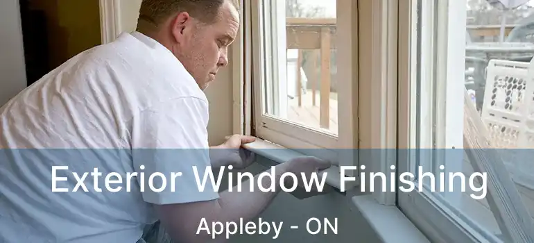  Exterior Window Finishing Appleby - ON