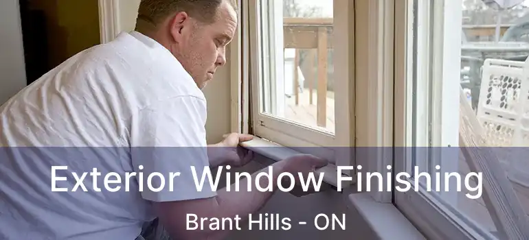  Exterior Window Finishing Brant Hills - ON