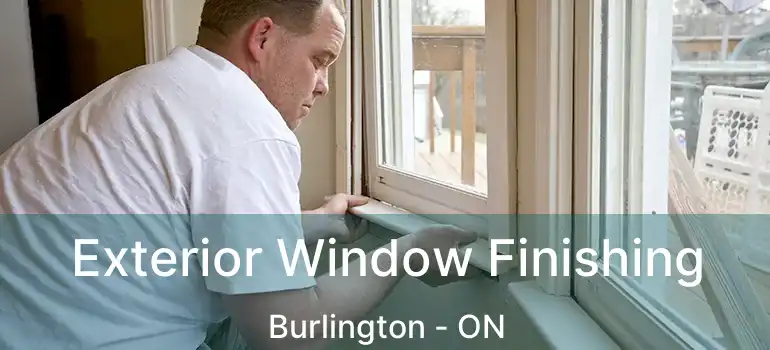  Exterior Window Finishing Burlington - ON