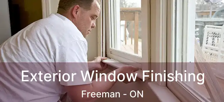  Exterior Window Finishing Freeman - ON