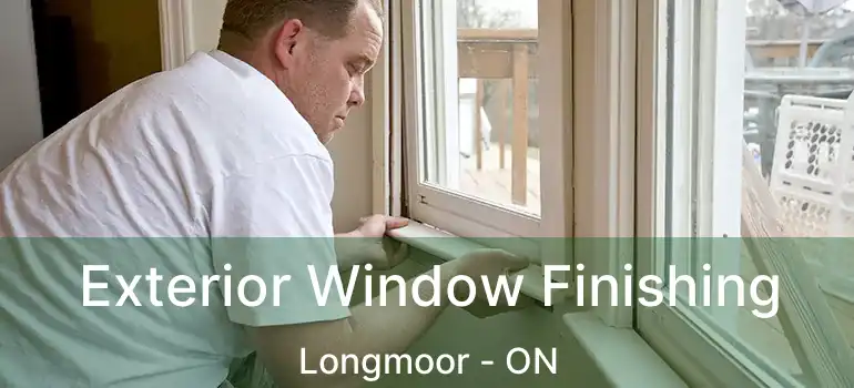  Exterior Window Finishing Longmoor - ON