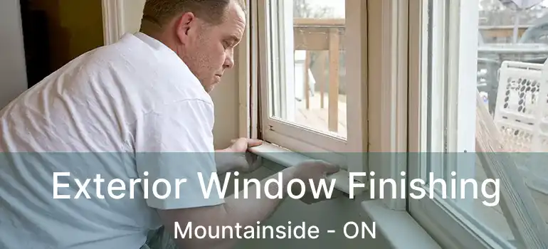  Exterior Window Finishing Mountainside - ON