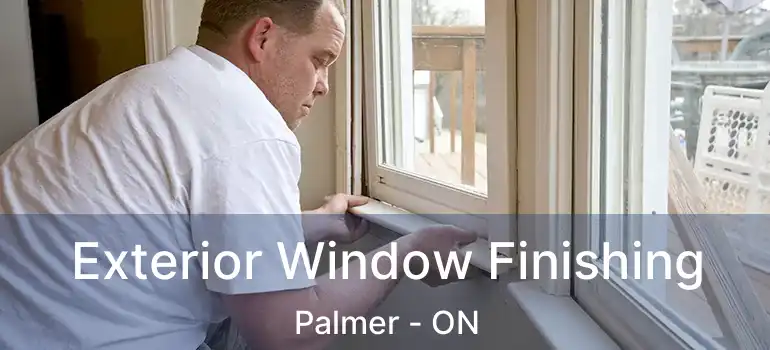  Exterior Window Finishing Palmer - ON