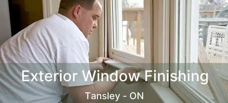  Exterior Window Finishing Tansley - ON