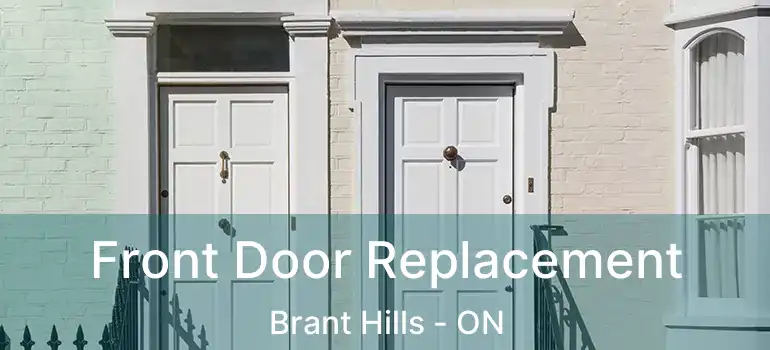  Front Door Replacement Brant Hills - ON