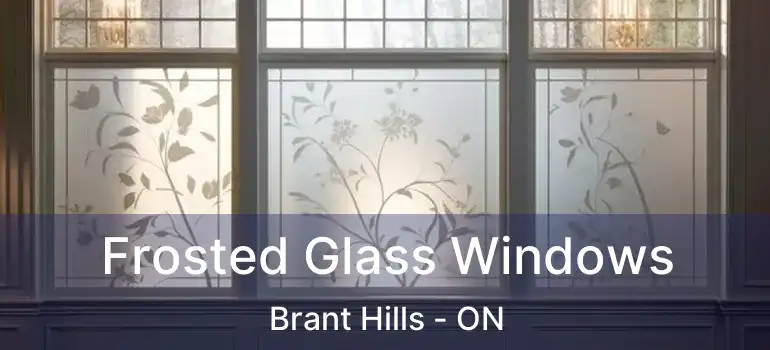  Frosted Glass Windows Brant Hills - ON