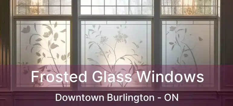  Frosted Glass Windows Downtown Burlington - ON