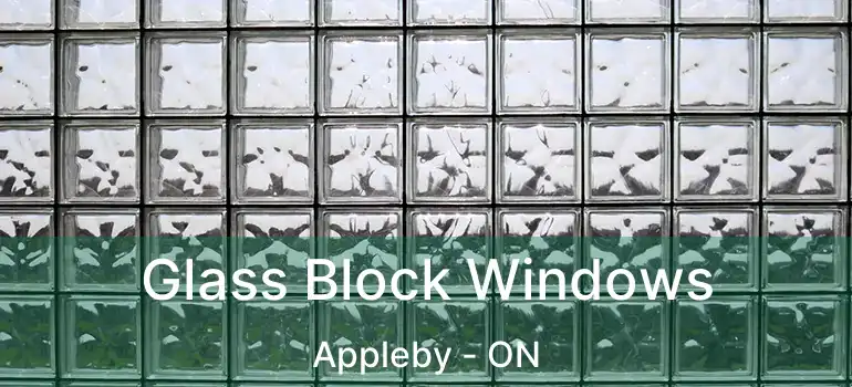 Glass Block Windows Appleby - ON