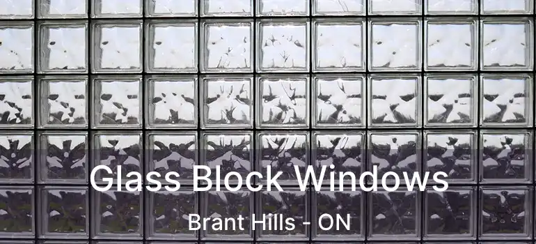  Glass Block Windows Brant Hills - ON
