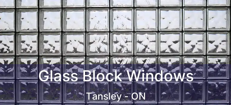  Glass Block Windows Tansley - ON