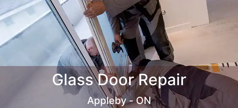  Glass Door Repair Appleby - ON