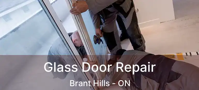  Glass Door Repair Brant Hills - ON