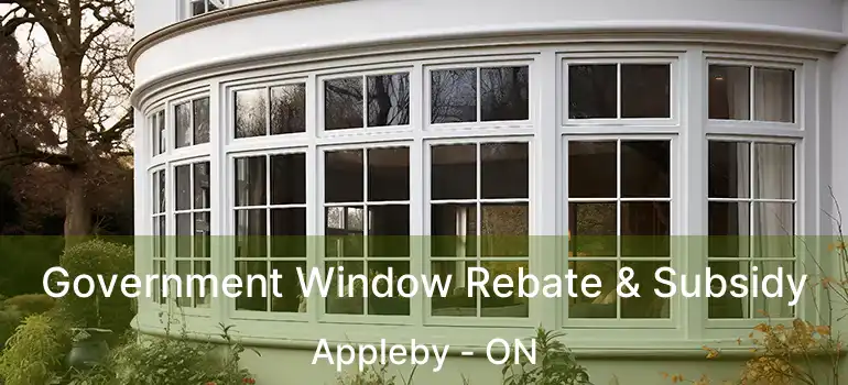  Government Window Rebate & Subsidy Appleby - ON