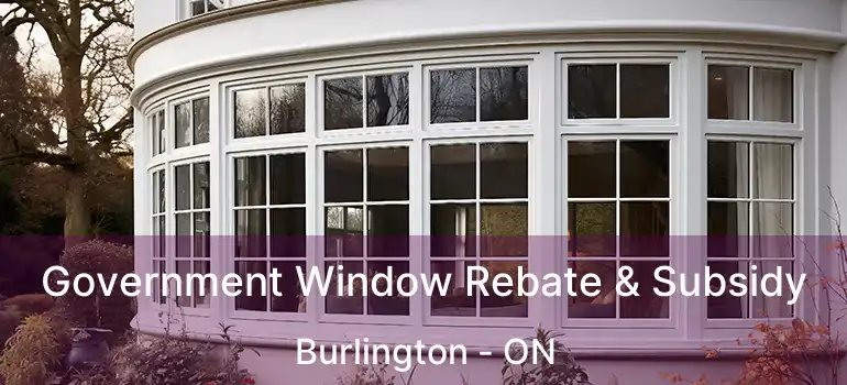  Government Window Rebate & Subsidy Burlington - ON