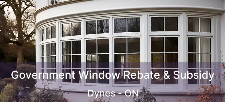  Government Window Rebate & Subsidy Dynes - ON