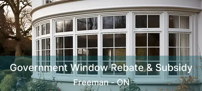  Government Window Rebate & Subsidy Freeman - ON