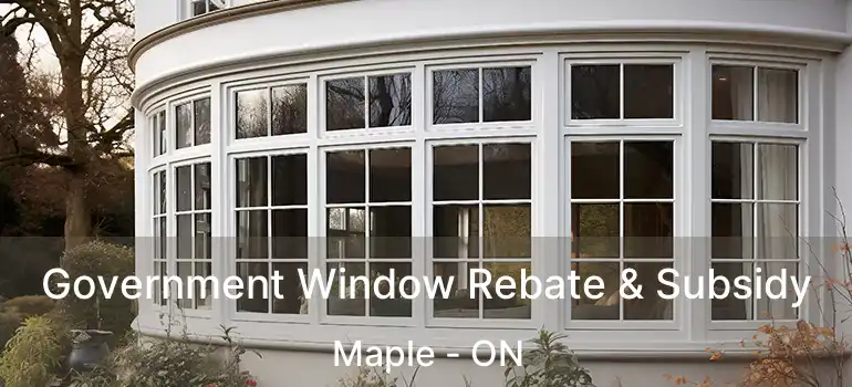  Government Window Rebate & Subsidy Maple - ON