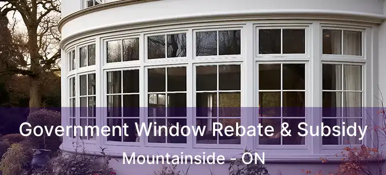  Government Window Rebate & Subsidy Mountainside - ON