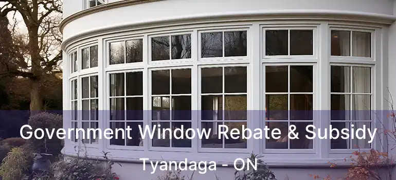  Government Window Rebate & Subsidy Tyandaga - ON