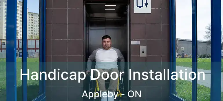  Handicap Door Installation Appleby - ON