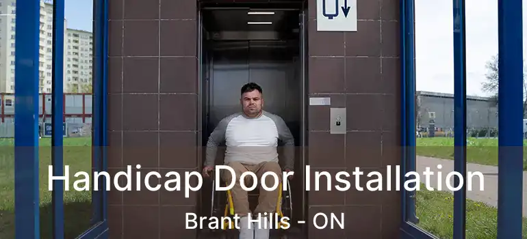  Handicap Door Installation Brant Hills - ON