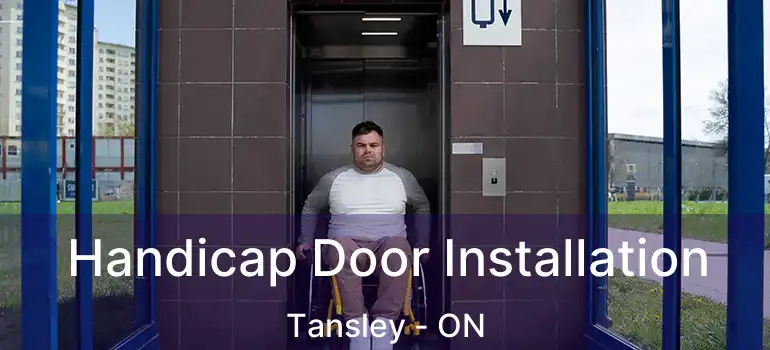  Handicap Door Installation Tansley - ON