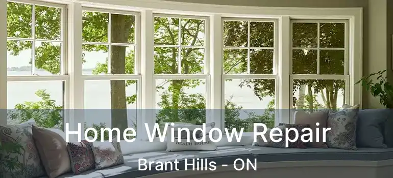  Home Window Repair Brant Hills - ON