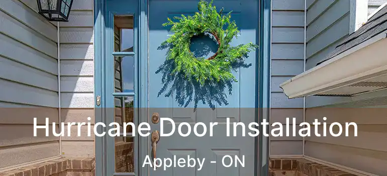  Hurricane Door Installation Appleby - ON