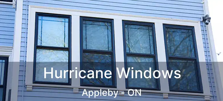  Hurricane Windows Appleby - ON