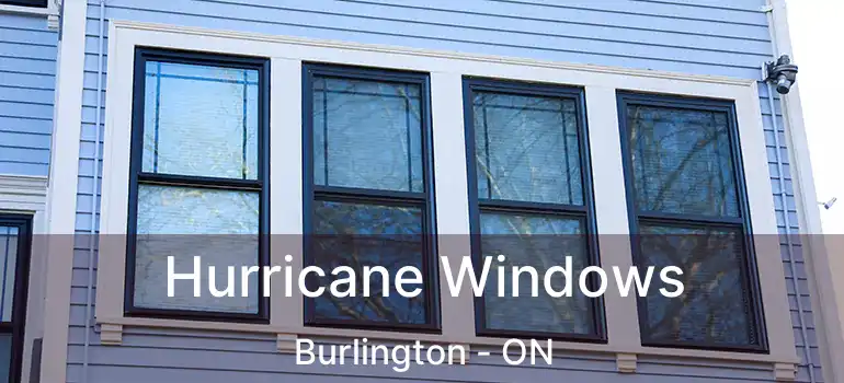  Hurricane Windows Burlington - ON