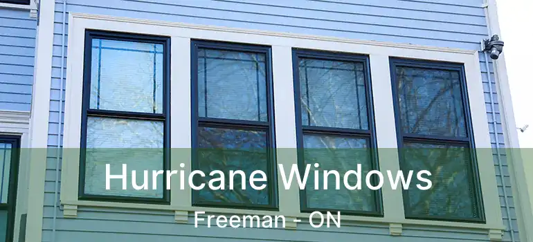  Hurricane Windows Freeman - ON