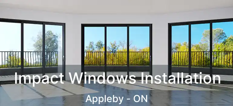 Impact Windows Installation Appleby - ON