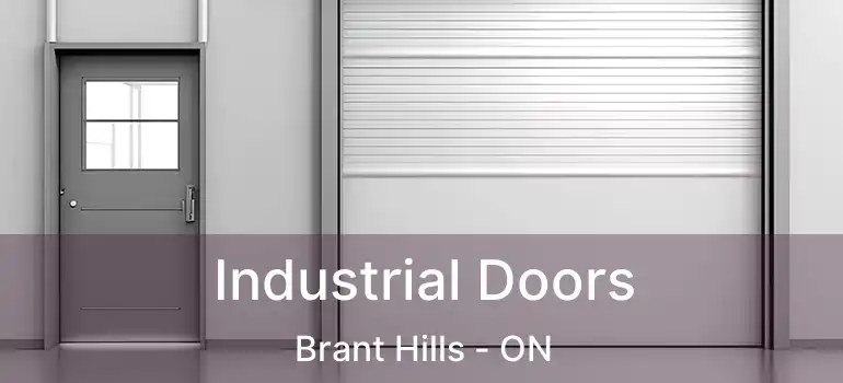  Industrial Doors Brant Hills - ON