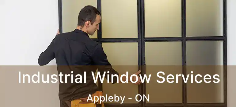  Industrial Window Services Appleby - ON