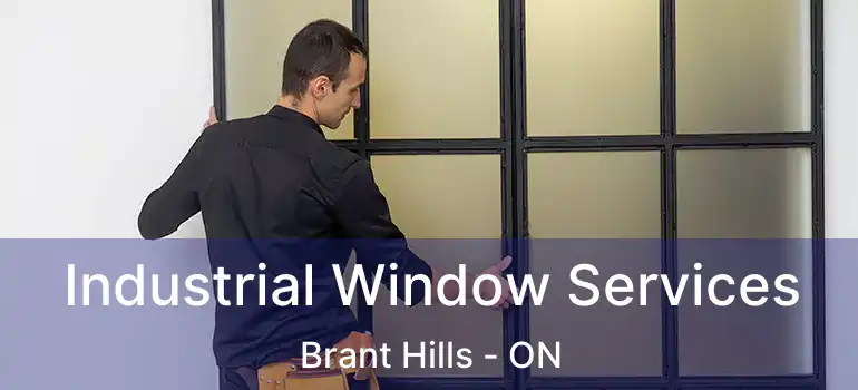  Industrial Window Services Brant Hills - ON