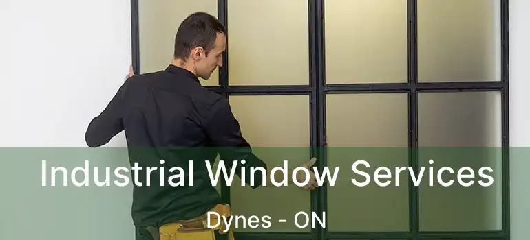  Industrial Window Services Dynes - ON