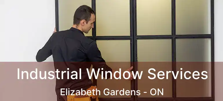  Industrial Window Services Elizabeth Gardens - ON