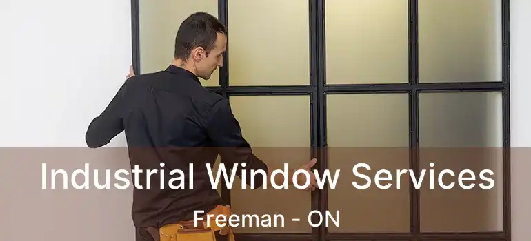  Industrial Window Services Freeman - ON