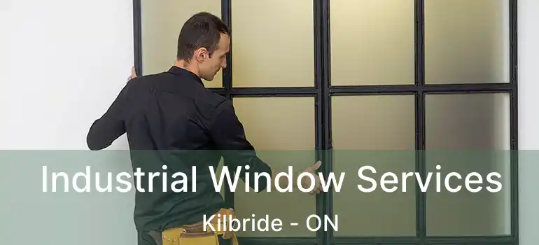  Industrial Window Services Kilbride - ON