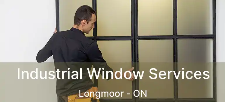  Industrial Window Services Longmoor - ON